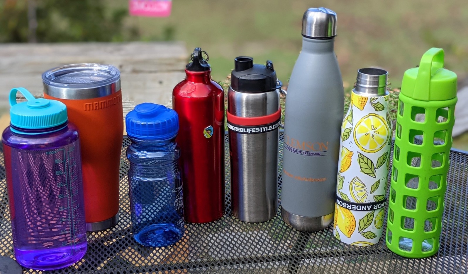 Study Finds Reusable Water Bottles Hold More Bacteria Than Toilet